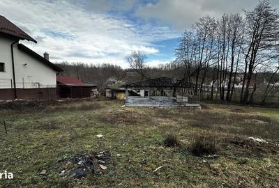 Spațiu comercial, în Moșoaia - 9