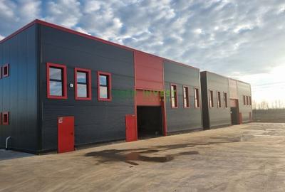 Hala Industriala de Vanzare  Locatie Ideala pentru Afacerea Ta! - 14