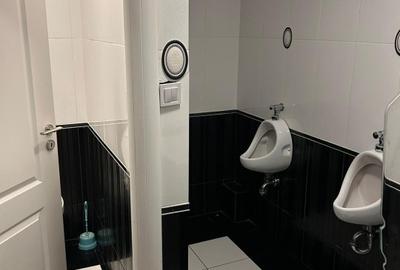 Spatiu Comercial De Inchiriat Petre Isiprescu - 13