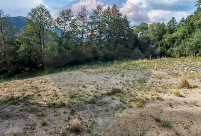 Teren 5,174mp Bran / Strada Colibasilor la 800 m de centrul Branului - 2