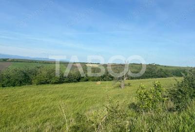 Teren de 8900 mp, în Șura Mare - 5