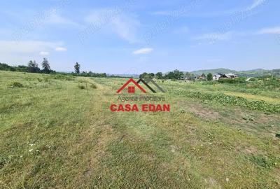 Teren intravilan in Campina, 7500mp--35e - 7