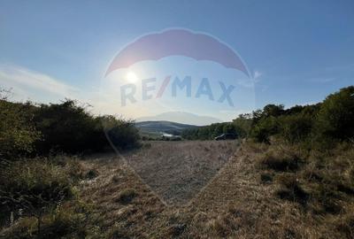 Teren cu parau | 50,000 mp | zona Caianu-Vama | la lizi... - 4