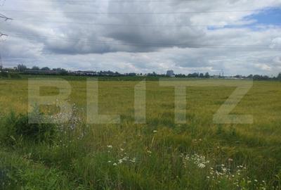 Teren extravilan, 6600 mp, Radauti - 3