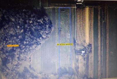 Teren intravilan de 14780 mp, în Grumăzești - 1
