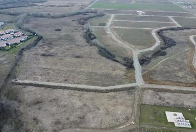 Teren de 5000 mp, în Albina - 5
