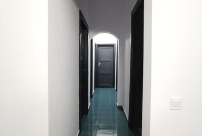 Dristor - Dudesti 3 Camere Casa La Curte - 14