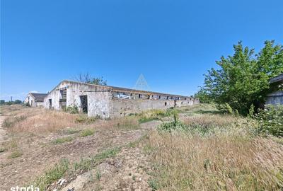 Teren de 58664 mp, în Vadu Pașii - 3