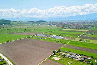 Teren Intravilan - 3