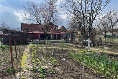 Casă individuală cu 4 camere cu Teren 2935 Mp în Belinț - 29