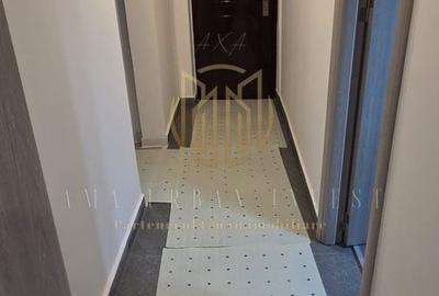 2 camere Teiul Doamnei, Ion Berindei circa 7 poliție - 8