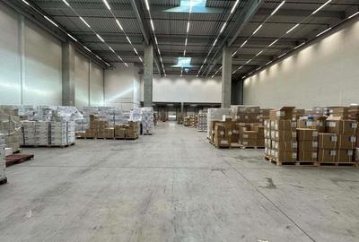 Spatiu depozitare Dragomiresti - Deal A1 , Km. 13,5 - 5