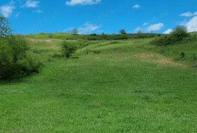 Teren de 2200 mp, în Sânpaul - 3