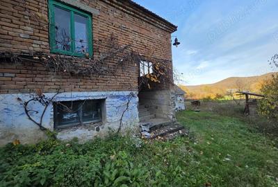 Casa de vanzare in loc Tisa, jud. Hunedoara doar 37 de min de Deva. - 9