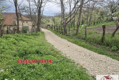 Teren de 1295 mp, în Berghin - 2