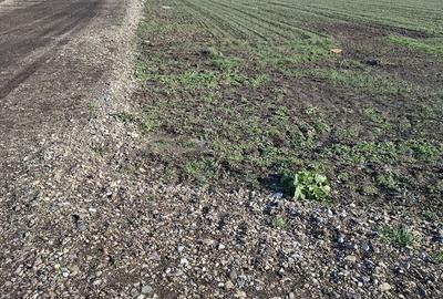 Spațiu comercial, în Central - 35