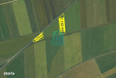 Teren de 22679 mp, în Hărman - 4