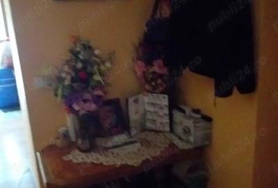 Casa de vinzare in comuna Iecea Mare jud Timid - 4