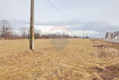 Teren agricol extravilan de 11600 mp, în Cristian - 7