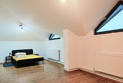 Vila S+P+1+M-318 m2 utili cu 1820 m2 teren situata vis a vis Lidl,Penny,Kaufland - 48