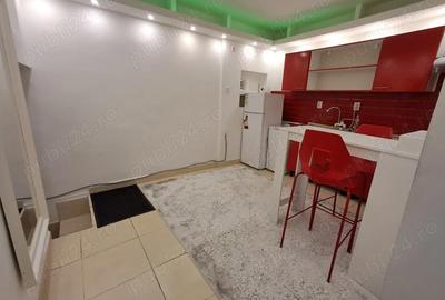 Garsonieră nedecomandată în Moșilor - 13