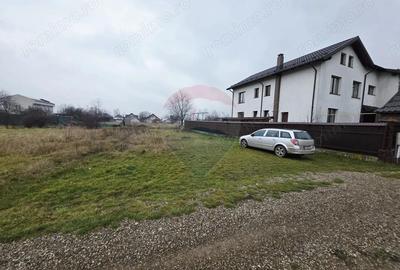 Teren 519mp Dumbrava Rosie / Strada CRANGULUI - 13