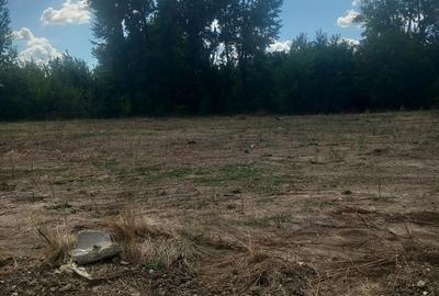 Popesti Leordeni, direct de la proprietar Popesti Leordeni, direct de la proprietar - 5