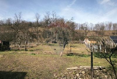 Casa la ?ara in Transilvania - sat sasesc Paucea, jud. Sibiu - 17