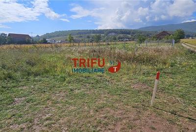 Teren Intravilan în Alba Iulia, Zona Alba Micești - 3