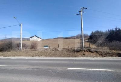 Teren de 5000 mp, în Central