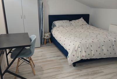 Apartament 2 camere Nicolina 2, RENOVAT, mutare imediata !!! - 4