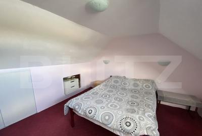 Casa familiala, suprafata de 133 mp, cu gradina de 4700 mp - 13