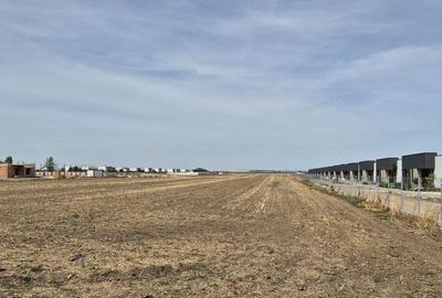 Teren intravilan 16.248 mp - Domnesti - 2