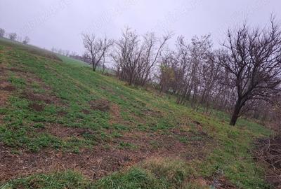 Casă cu 3 camere în Nuntași - 2