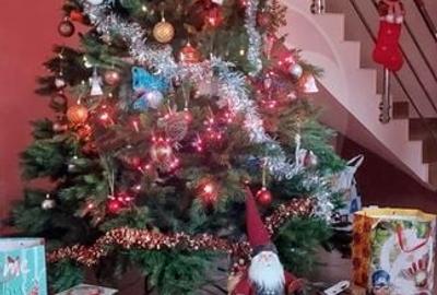 Casa / Vila cu 5 camere de vanzare in zona Brestei - 24