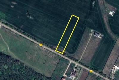 Vanzare teren intravilan Magurele / 2.500 mp / D: 17.55 m - 2