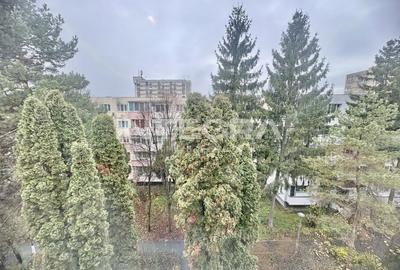 Apartament cu 4 camere decomandat, mobilat în Mănăștur - 13