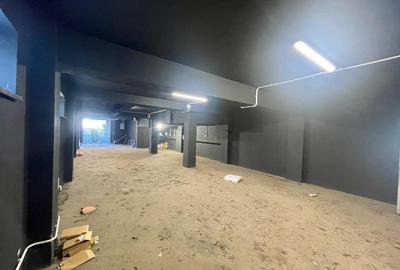 Spațiu industrial  – Zona Victoriei – Str. Teodosie Rudeanu nr. 41, - 5