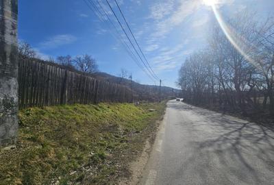 Teren Construcții intravilan de 690 mp, în Ștefănești - 5