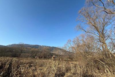 Spațiu comercial, în Rimetea - 7