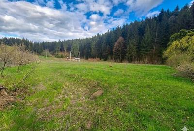 Teren de 21000 mp, în Slatina - 6