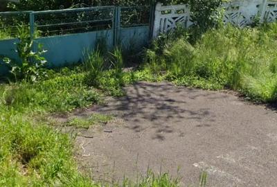 Casă cu 3 camere cu Teren 1400 Mp în Mihai Viteazu - 10