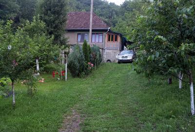 Casă cu 3 camere în Dumbrava - 5