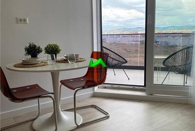 Studio modern de inchiriat Sibiu Doamna Stanca Evo - 3