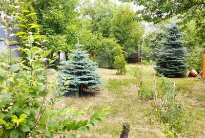 Casă cu 5 camere cu Teren 1200 Mp în Gruia - 11