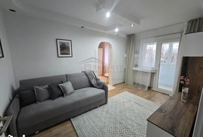 Apartament cu 2 camere, mobilat în George Enescu - 9