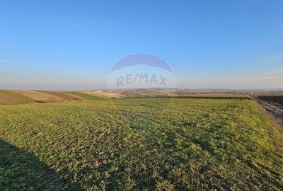 Teren agricol extravilan de 10200 mp, în Stroiești - 1