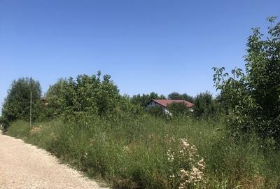 Teren de 1365 mp, în Domnești