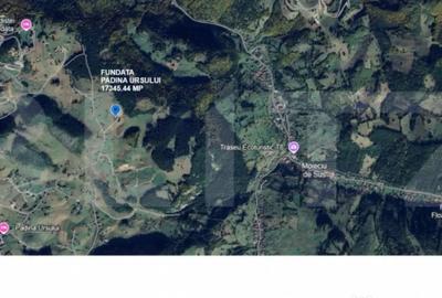 Teren de 17345 mp, în Fundata - 1