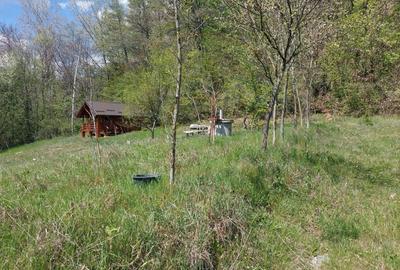 Casa imbratisata de padure - Valea Ursului, Bascov - 16
